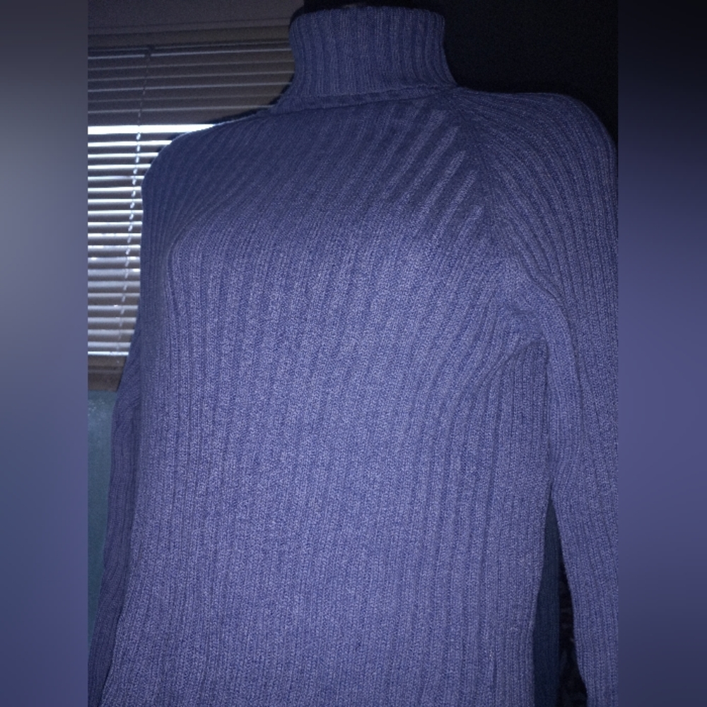 Blue Long Sleeve Turtle-neck Sweater